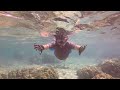 Kahaluu Beach Park - Snorkeling Paradise, Kailua Kona, Big Island of Hawaii 2017