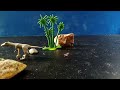 a little stop motion I made