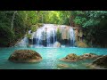 Dreaming • Relaxing Zen Music with Water Sounds for Sleep, Spa & Meditation