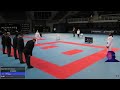 | kumite Commentary | 2024 Athens -68kg A Favorite