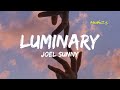 Luminary (Loop) - Joel Sunny \\tik tok version \\trending song