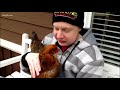 Mom says pet chicken saved her son who has autism