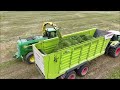 John Deere 7980i ProDrive Luzerne häckseln 2024 im Oderbruch 2. Schnitt mit Deutz Flotte + 1x Claas