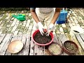 उपले से लिक्विड फर्टिलाइजर और जैविक खाद बनाएं | Liquid fertilizer | Jaivik Khad Banaye | Jaivik khad