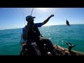 Florida Keys Fishing - One Mile Ledges Off The Beach (Didn't Think I'd Hook One Of These!)