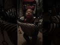 2month old talking and jumping