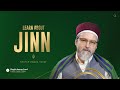 THERE ARE NO ALIENS ! It's the Jinns abducts people | Shaykh Hamza Yusuf