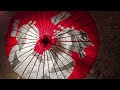 Tokyo Autumn vlog/Japan travel/Jingu Gaien Ginkgo Avenue/Yoyogi Park/Mount Takao/Showa Kinen Park