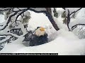 WHERE IS JACKIE? ❆ Time Lapse Over Past 24 Hours COMPLETELY COVERS HER IN SNOW ☃️ FOBBV Cam  2.6.24