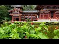 Scenic footage at Byodo-In-Temple, O'ahu, Hawaii / Shared by @PinayFuzzions