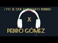 Pedro Gómez_YO SE QUE ES GANAR  O PERDER ( Audio oficial)