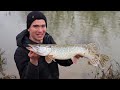 Exploring Small Streams - Multi Species Fishing!