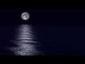 Beautiful Relaxing Sleep Music for Stress Relief ★︎ Fall Asleep in under 10 minutes