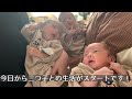【Japanese triplets】Two people who were hospitalized after giving birth will be discharged!