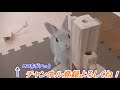 Bunny 'Popo' struggles to stay awake!