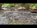 G Scale Trains! F3 + SD40 Freight