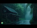 Relaxing Rain Sounds For Sleeping - Torrential Rainstorm & Very Huge Thunder on Tropical Forest