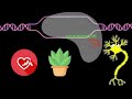 But what is CRISPR-Cas9? An animated introduction to Gene Editing. #some2