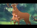 Bambi || Soft Bambi Scenes