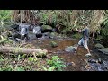 Solo camping in heavy rain visiting old cabin