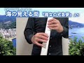 [EWI Cover] 海の見える街「魔女の宅急便」より(久石譲) Jazz Waltzリズム版 EWI5000 ハーモニカ音で