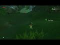 achivements are some times like | botw clips#26