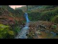 The Enchanted Stream🧚‍♀️Magical Water Sounds, Bird Song, Slow Nature ASMR Waterfall, Fairy Woodland