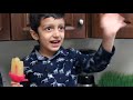 Making popsicle / ice pops at home   |  Coocoocrazy Toy Reviews