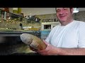 Salvatore, a Neapolitan pizza chef, shows us how to make Neapolitan pizza dough in Rome, Italy
