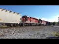 RJ Corman 3438 (Loud K5LA) leads Trio W/ Grain & Hopper Cars - Powell, TN ((6/11/2024)