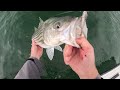 Shocking Catch of a Lifetime! Huge Fish Ate Tiny Lure!