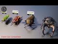 Insects Size Comparison | Bugs Size Comparison | Data Slide