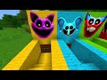 SURVIVAL IN MAZE WITH SMILING CRITTERS & GARTEN OF BANBAN 7 in Minecraft CATNAP DOGDAY