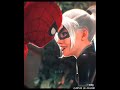 Black Cat (Felicia Hardy) Edits Compilation (2K)