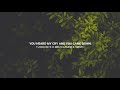 You Came Down - Jonathan Ogden | English & Portuguese Lyrics