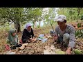 BEGINILAH KESEHARIAN SHELA SAAT BERSAMA ORANG TUANYA DI KAMPUNG MATI CIGERUT KULON KUNINGAN...