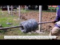 How To Create A MIYAWAKI FOREST | Step-by-step NANAK BAGICHI Tutorial