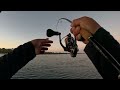 Getting smoked by Pelagics after work: Fishing Mackay, Queensland! EP.72