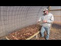 FREE passive heating a greenhouse with compost