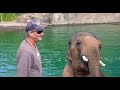 Elephant playing in water - The Wildlife Explorer
