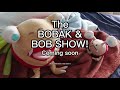 The Bobak & Bob Show Official Reveal Trailer