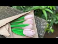 Paper tulip flower Malayalam | paper craft | paper flower