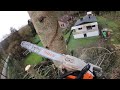 GROS DÉMONTAGE ET ABATTAGE D'ÉPICÉAS STIHL 661