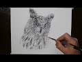 How to Draw an Owl | Amazing Scribble Art Drawing with a Biro Pen