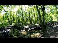 360 VR Forest Video -- zen, meditation, calmness, relax with nature #360vr #360relaxingmusic