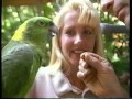 Animal Bloopers with Jack Hanna (1994) (VHS)