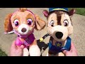 Video Educativo para Niños! Juguetes Paw Patrol Skye y Chase!