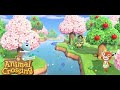 Animal Crossing Music for Stress Relief/Studying/Relaxation