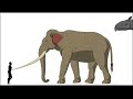 CENOZOIC BEASTS | Animated Size Comparison