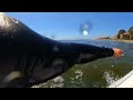 POV LONGBOARDING A DREAMY CALIFORNIA POINT BREAK (4K RAW)